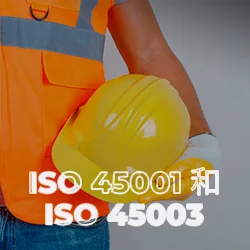 ISO 45001和ISO 45003认证